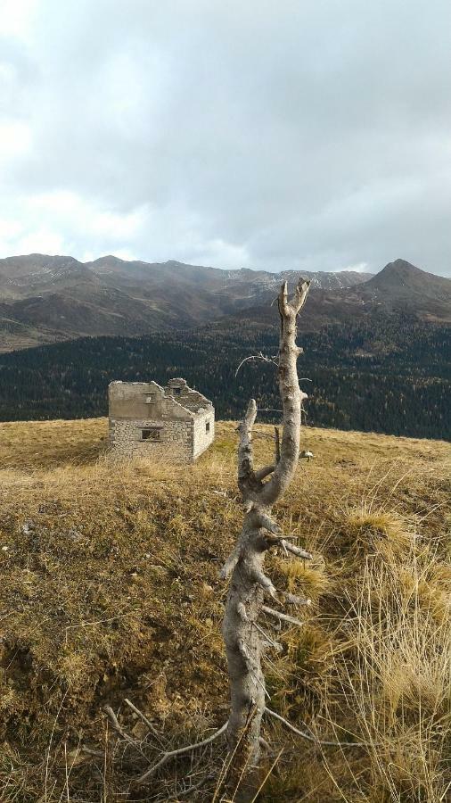 Balcone Sulle Dolomiti 2 Apartman Dosoledo Kültér fotó