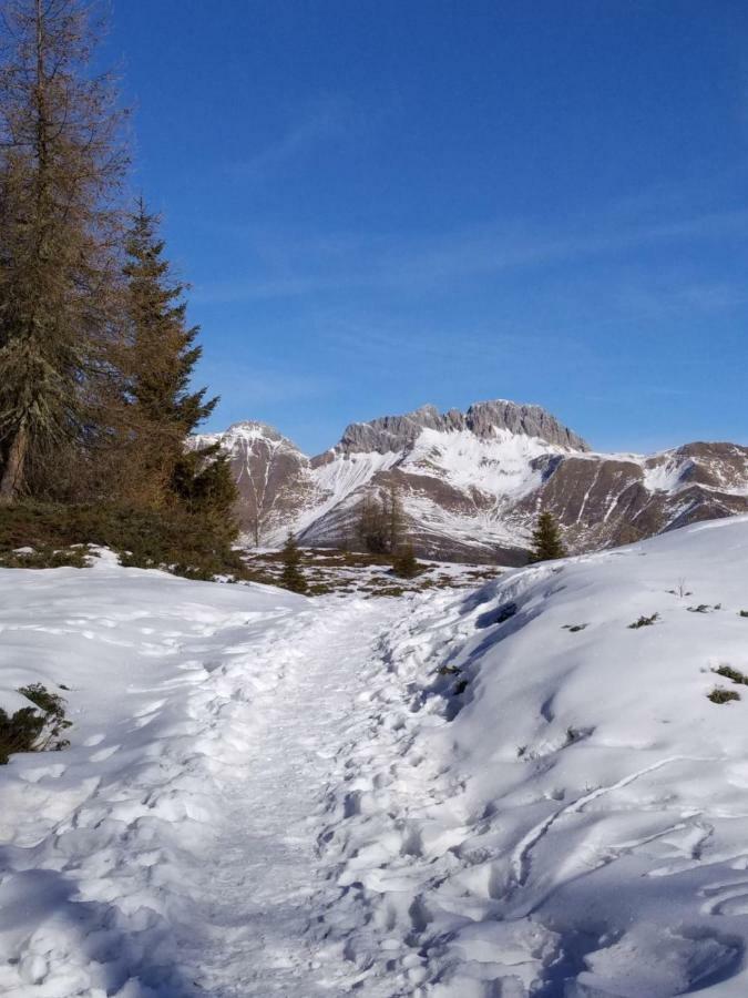 Balcone Sulle Dolomiti 2 Apartman Dosoledo Kültér fotó